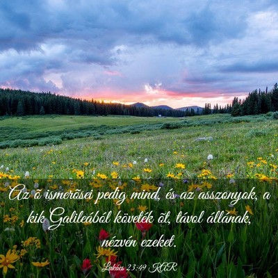 Picture 03 - Lukács 23:49 KAR - Az õ ismerõsei pedig mind, és az asszonyok, a - Bible Verse Picture