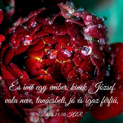 Picture 03 - Lukács 23:50 KAR - És ímé egy ember, kinek József vala neve, - Bible Verse Picture