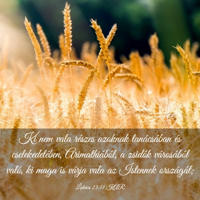 Picture 03 - Lukács 23:51 KAR - Ki nem vala részes azoknak tanácsában és - Bible Verse Picture