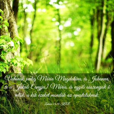 Picture 03 - Lukács 24:10 KAR - Valának pedig Mária Magdaléna, és Johanna, - Bible Verse Picture