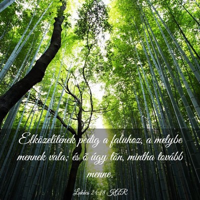 Picture 03 - Lukács 24:28 KAR - Elközelítének pedig a faluhoz, a melybe mennek - Bible Verse Picture