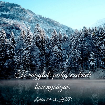 Picture 03 - Lukács 24:48 KAR - Ti vagytok pedig ezeknek - Bible Verse Picture