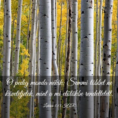 Picture 03 - Lukács 3:13 KAR - Õ pedig monda nékik: Semmi többet ne - Bible Verse Picture