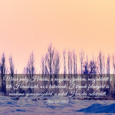 Picture 03 - Lukács 3:19 KAR - Mikor pedig Heródes, a negyedes fejedelem, - Bible Verse Picture