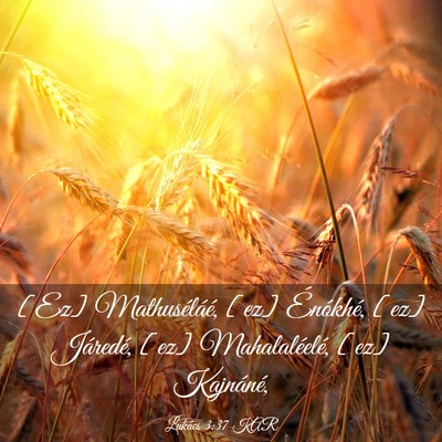 Picture 03 - Lukács 3:37 KAR - [Ez] Mathuséláé, [ez] Énókhé, [ez] - Bible Verse Picture