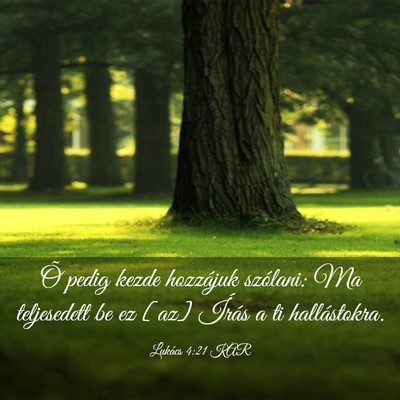 Picture 03 - Lukács 4:21 KAR - Õ pedig kezde hozzájuk szólani: Ma teljesedett - Bible Verse Picture