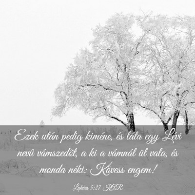 Picture 03 - Lukács 5:27 KAR - Ezek után pedig kiméne, és láta egy Lévi - Bible Verse Picture