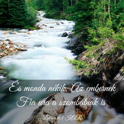 Picture 03 - Lukács 6:5 KAR - És monda nékik: Az embernek Fia ura a - Bible Verse Picture