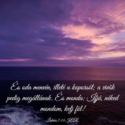 Picture 03 - Lukács 7:14 KAR - És oda menvén, illeté a koporsót; a vivõk - Bible Verse Picture