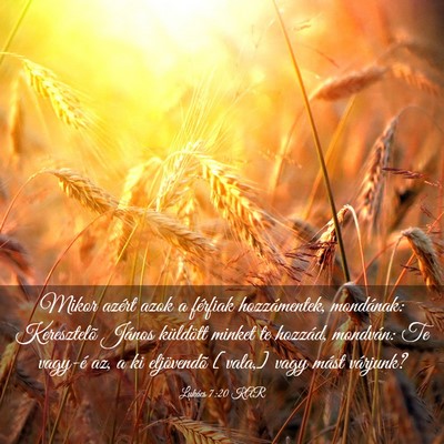 Picture 03 - Lukács 7:20 KAR - Mikor azért azok a férfiak hozzámentek, - Bible Verse Picture