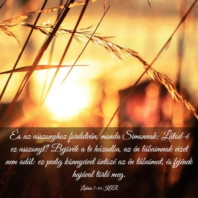 Picture 03 - Lukács 7:44 KAR - És az asszonyhoz fordulván, monda Simonnak: - Bible Verse Picture