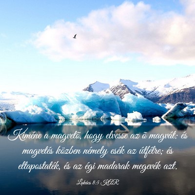 Picture 03 - Lukács 8:5 KAR - Kiméne a magvetõ, hogy elvesse az õ magvát: - Bible Verse Picture
