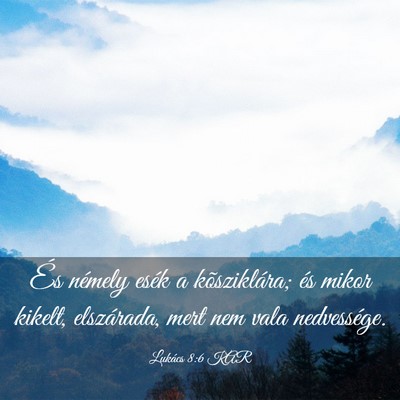 Picture 03 - Lukács 8:6 KAR - És némely esék a kõsziklára; és mikor - Bible Verse Picture