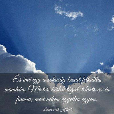 Picture 03 - Lukács 9:38 KAR - És ímé egy a sokaság közül felkiálta, - Bible Verse Picture