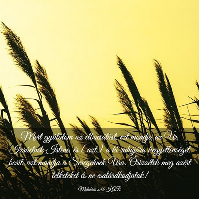 Picture 03 - Malakiás 2:16 KAR - Mert gyûlölöm az elbocsátást, ezt mondja az - Bible Verse Picture