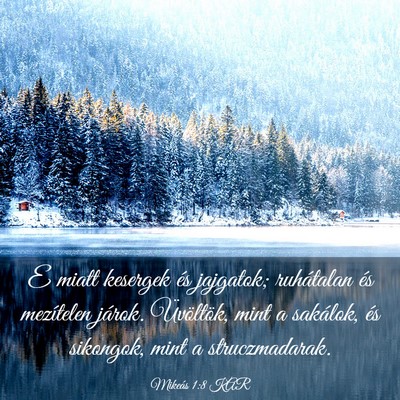 Picture 03 - Mikeás 1:8 KAR - E miatt kesergek és jajgatok; ruhátalan és - Bible Verse Picture