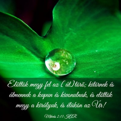 Picture 03 - Mikeás 2:13 KAR - Elõttök megy fel az [út]törõ; kitörnek és - Bible Verse Picture