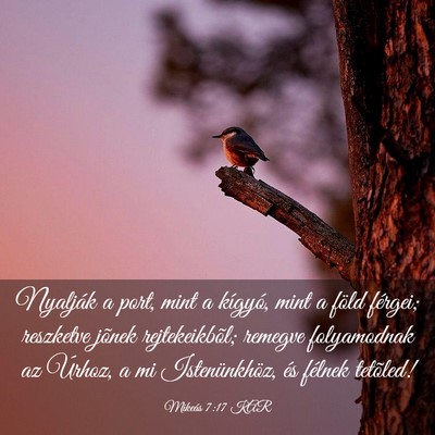 Picture 03 - Mikeás 7:17 KAR - Nyalják a port, mint a kígyó, mint a föld - Bible Verse Picture
