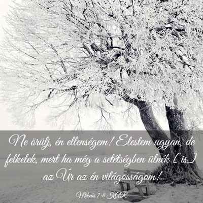 Picture 03 - Mikeás 7:8 KAR - Ne örülj, én ellenségem! Elestem ugyan, de - Bible Verse Picture