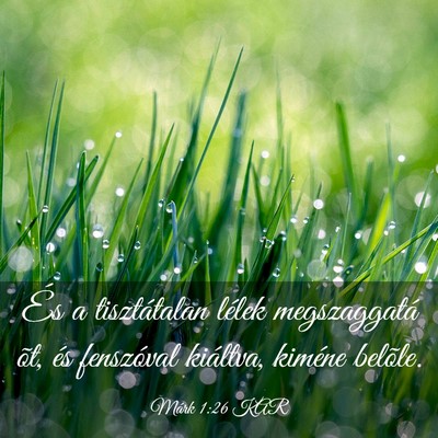 Picture 03 - Márk 1:26 KAR - És a tisztátalan lélek megszaggatá õt, és - Bible Verse Picture