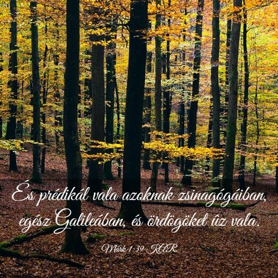Picture 03 - Márk 1:39 KAR - És prédikál vala azoknak zsinagógáiban, - Bible Verse Picture