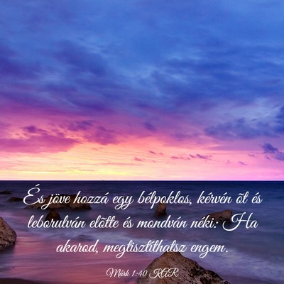 Picture 03 - Márk 1:40 KAR - És jöve hozzá egy bélpoklos, kérvén õt és - Bible Verse Picture