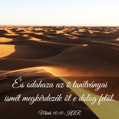 Picture 03 - Márk 10:10 KAR - És odahaza az õ tanítványai ismét - Bible Verse Picture