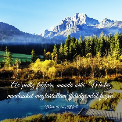 Picture 03 - Márk 10:20 KAR - Az pedig felelvén, monda néki: Mester, - Bible Verse Picture