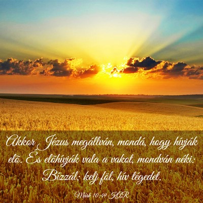 Picture 03 - Márk 10:49 KAR - Akkor Jézus megállván, mondá, hogy hívják - Bible Verse Picture