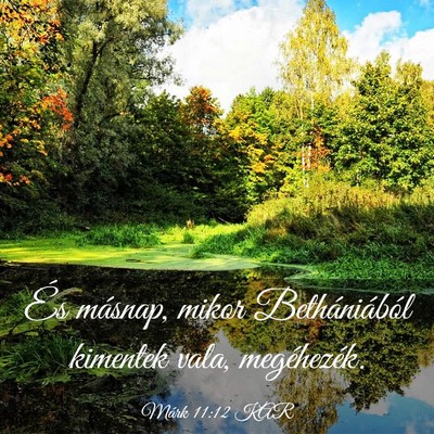 Picture 03 - Márk 11:12 KAR - És másnap, mikor Bethániából kimentek vala, - Bible Verse Picture
