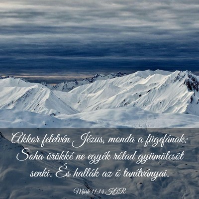 Picture 03 - Márk 11:14 KAR - Akkor felelvén Jézus, monda a fügefának: Soha - Bible Verse Picture