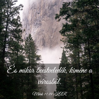 Picture 03 - Márk 11:19 KAR - És mikor beestveledék, kiméne a - Bible Verse Picture