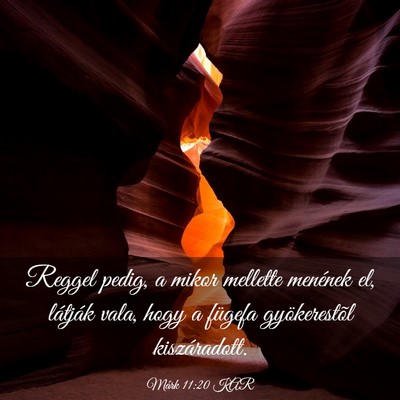 Picture 03 - Márk 11:20 KAR - Reggel pedig, a mikor mellette menének el, - Bible Verse Picture