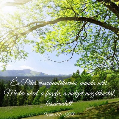 Picture 03 - Márk 11:21 KAR - És Péter visszaemlékezvén, monda néki: - Bible Verse Picture