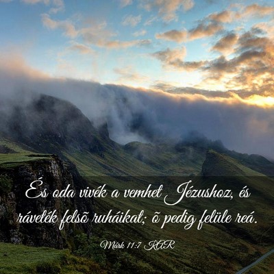 Picture 03 - Márk 11:7 KAR - És oda vivék a vemhet Jézushoz, és ráveték - Bible Verse Picture