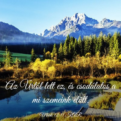 Picture 03 - Márk 12:11 KAR - Az Úrtól lett ez, és csodálatos a mi szemeink - Bible Verse Picture