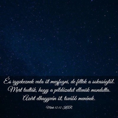 Picture 03 - Márk 12:12 KAR - És igyekeznek vala õt megfogni, de féltek a - Bible Verse Picture