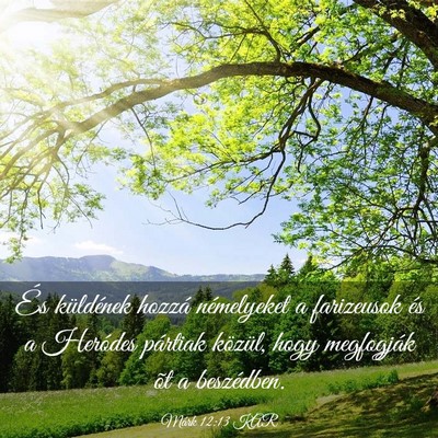 Picture 03 - Márk 12:13 KAR - És küldének hozzá némelyeket a farizeusok - Bible Verse Picture