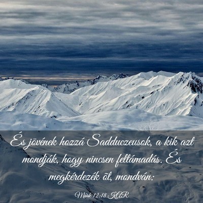 Picture 03 - Márk 12:18 KAR - És jövének hozzá Sadduczeusok, a kik azt - Bible Verse Picture