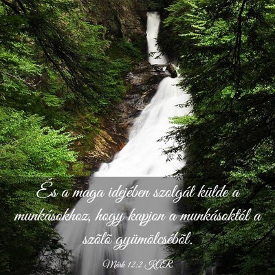 Picture 03 - Márk 12:2 KAR - És a maga idejében szolgát külde a - Bible Verse Picture