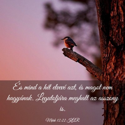 Picture 03 - Márk 12:22 KAR - És mind a hét elvevé azt, és magot nem - Bible Verse Picture