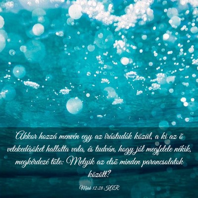 Picture 03 - Márk 12:28 KAR - Akkor hozzá menvén egy az írástudók közül, - Bible Verse Picture