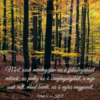 Picture 03 - Márk 12:44 KAR - Mert azok mindnyájan az õ fölöslegükbõl - Bible Verse Picture
