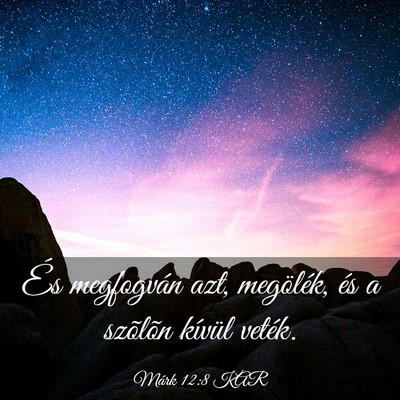 Picture 03 - Márk 12:8 KAR - És megfogván azt, megölék, és a szõlõn - Bible Verse Picture