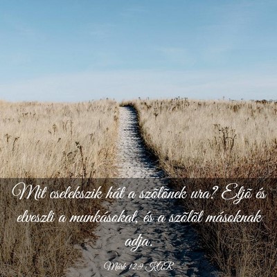 Picture 03 - Márk 12:9 KAR - Mit cselekszik hát a szõlõnek ura? Eljõ és - Bible Verse Picture