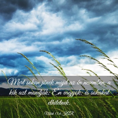 Picture 03 - Márk 13:6 KAR - Mert sokan jõnek majd az én nevemben, a kik azt - Bible Verse Picture