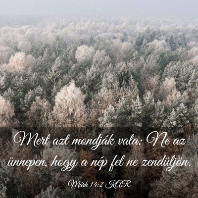 Picture 03 - Márk 14:2 KAR - Mert azt mondják vala: Ne az ünnepen, hogy a - Bible Verse Picture
