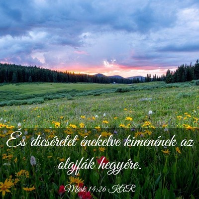 Picture 03 - Márk 14:26 KAR - És dicséretet énekelve kimenének az olajfák - Bible Verse Picture