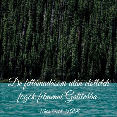 Picture 03 - Márk 14:28 KAR - De feltámadásom után elõttetek fogok felmenni - Bible Verse Picture