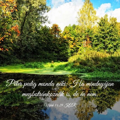 Picture 03 - Márk 14:29 KAR - Péter pedig monda néki: Ha mindnyájan - Bible Verse Picture